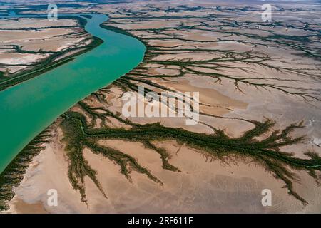 Gulf Saltpan / Albert RV., Burketown, Golf von Carpentaria, Qld Stockfoto