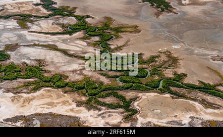 Gulf Saltpan / Albert RV., Burketown, Golf von Carpentaria, Qld Stockfoto