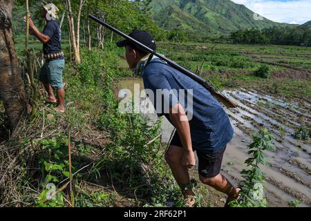 22. Juni 2023, Churachandpur, Manipur, Indien: Ein bewaffneter Kuki-Jugendlicher springt nach vorne, um seinem Freund dabei zu helfen, an der de facto Frontlinie einen Baum zu erklimmen, der das Gebiet in zwei ethnische Zonen unterteilt, in Churachandpur im nordöstlichen indischen Staat Manipur. Der Bezirk Churachandpur und die gesamte Hügelgegend beherbergen viele Stämme, die überwiegend christlich sind. Diese jungen Menschen, die die Verantwortung für die Selbstverteidigung übernehmen, sind zwischen 13 und Mitte dreißig Jahre alt und haben beschlossen, ihre Bildung, ihre landwirtschaftlichen Aktivitäten und friedlichen Nächte zu opfern, um ihre Dorfgrenzen mit Waffen und zu schützen Stockfoto