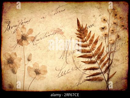 Retro-Hintergrund mit trockenen, gepressten Blättern und Blumen auf Papierstruktur. Nostalgischer Hintergrund für Sammelalben mit alter Papierstruktur und Inschrift Stockfoto