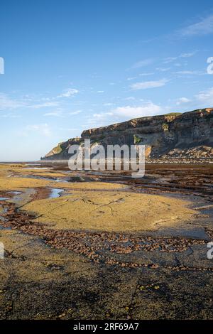 Felsformationen des Shield Reef in Saltwick Bay bei Whitby Stockfoto