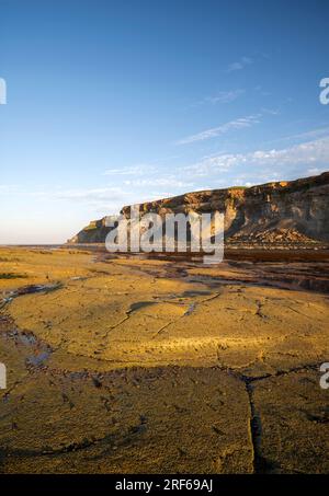 Felsformationen des Shield Reef in Saltwick Bay bei Whitby Stockfoto