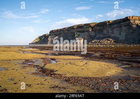 Schildriffs Felsformationen in Saltwick Bay, bei Whitby Stockfoto