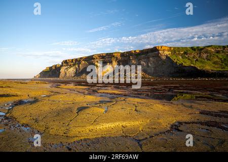 Felsformationen des Shield Reef in Saltwick Bay bei Whitby Stockfoto