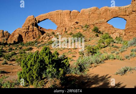 Arches National Park, North Window und South Window, Utah, USA Stockfoto