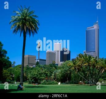 Australien, NSW, Sydney, Downtown mit Sydney Tower, AMP Tower, Botanischer Garten Stockfoto