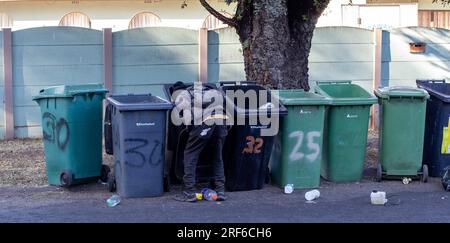 Johannesburg, Südafrika - ein unbekannter Schwarzer gräbt in Mülltonnen nach recyclingfähigem Material Stockfoto