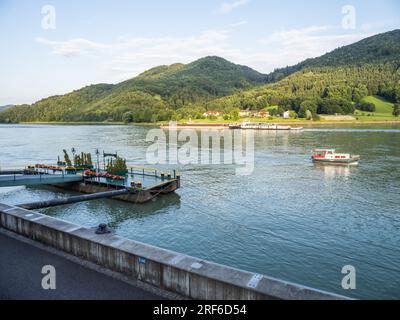 Kahn nahe Grein an der Donau, Mühlviertel, Oberösterreich, Österreich Stockfoto