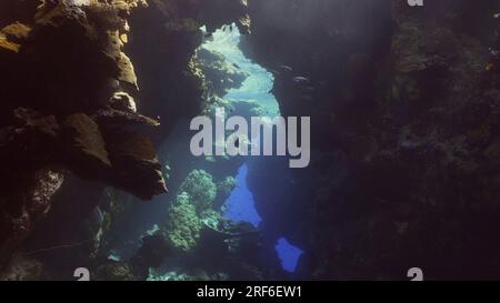 Sonnenschein durchdringt die Unterwasserkorallenhöhle und beleuchtet sie. Tropische Fische schwimmen in Korallenhöhlen in den Sonnenstrahlen, die von der Oberfläche durchdringen, Rot Stockfoto