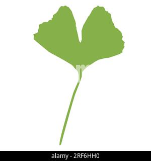 Grünes Gingko-Blattsymbol. Ein paar Blätter vom Gingko-Baum. Gingko bilboa-Zeichen. Flacher Stil. Stockfoto