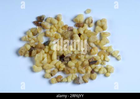 Weihrauch-Harz (Boswellia sacra), Weihrauch, Weihrauch, Weihrauch, Esoterismus, Freistehend, Objekt Stockfoto