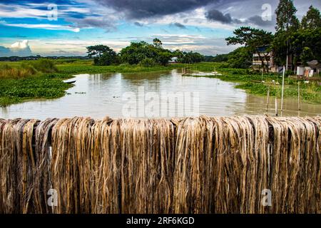 Juteverarbeitung unter dem bewölkten Himmel, dieses Bild wurde aus Rahitpur, Bangladesch, aufgenommen Stockfoto