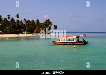 Ein ruhiger warmer Tag am Rande von Tobago, Karibik in einem Glasbodenboot Stockfoto