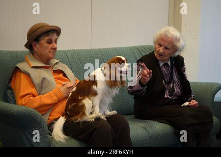 Senioren mit Kavalier König Charles Spaniel, Hundebesuch, Hundebesuch, Altenheim, Altenheim, Senioren Stockfoto