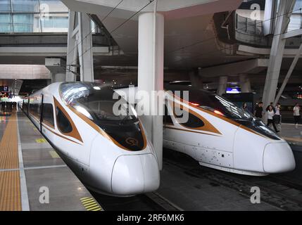 (230801) -- PEKING, 1. August 2023 (Xinhua) -- Ein Zug, der auf der Peking-Tianjin Intercity Railway (L) verkehrt, wartet auf Passagiere am Pekinger Südbahnhof in Peking, Hauptstadt von China, 1. August 2023. Die Peking-Tianjin Intercity Railway feierte ihren 15. Jahrestag der Eröffnung am Dienstag. Als erste Hochgeschwindigkeitsbahn (HSR) mit einer theoretischen Geschwindigkeit von 350 km/h in China beförderte die Intercity-Eisenbahn Peking-Tianjin seit ihrer Inbetriebnahme insgesamt 340 Millionen Fahrgäste.bis 2022 hatte China 42.000 km betriebsbereite HSR, rangiert an erster Stelle der Welt, und die Länge des Hochgeschwindigkeitsbahnsystems Stockfoto