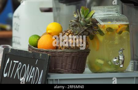 Großer Glasbecher und Korb mit Orangen, Zitronen, Ananas, Limetten und anderen frischen Früchten an einem Verkaufsstand, der gepresste Limonade aus natürlichem Material verkauft Stockfoto