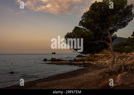 Wunderschöne Strandszene im frühen Morgenlicht, La verne Beach Fabregas, la seyne sur Mer, provence, Frankreich. Stockfoto