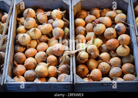 Broek op Langendijk, Niederlande. July17, 2023. Holzkisten mit Kartoffeln, Zwiebeln und Kohl. Hochwertiges Foto Stockfoto