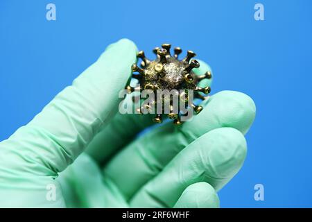 Hand im Latexhandschuh hält Modell eines Coronavirus Stockfoto