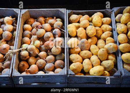 Broek op Langendijk, Niederlande. July17, 2023. Holzkisten mit Kartoffeln, Zwiebeln und Kohl. Hochwertiges Foto Stockfoto