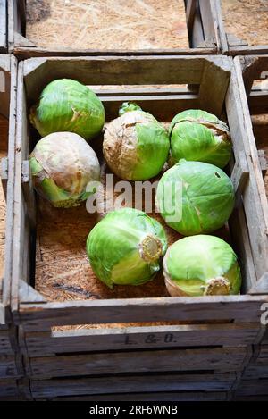 Broek op Langendijk, Niederlande. July17, 2023. Holzkisten mit Kartoffeln, Zwiebeln und Kohl. Hochwertiges Foto Stockfoto