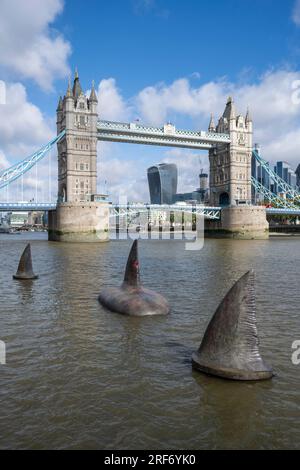 London, Großbritannien. 1. August 2023. Drei riesige Megalodon-Haifischflossen scheinen sich in der Nähe der Tower Bridge an die Oberfläche der Themse zu erheben, um die Freigabe der Warner Bros. In Großbritannien am 4. August zu fördern Filmfilm „Meg 2: The Trench“ mit Jason Statham. Laut dem Naturkundemuseum war die prähistorische Art, bekannt als Otodus megalodon, der größte Hai der Welt und einer der größten Fische, die es je gab. Kredit: Stephen Chung / Alamy Live News Stockfoto