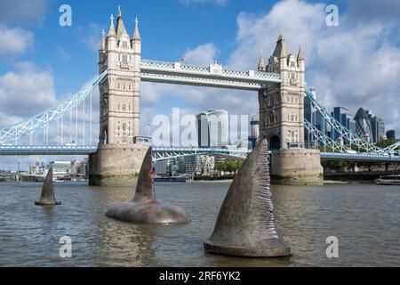 London, Großbritannien. 1. August 2023. Drei riesige Megalodon-Haifischflossen scheinen sich in der Nähe der Tower Bridge an die Oberfläche der Themse zu erheben, um die Freigabe der Warner Bros. In Großbritannien am 4. August zu fördern Filmfilm „Meg 2: The Trench“ mit Jason Statham. Laut dem Naturkundemuseum war die prähistorische Art, bekannt als Otodus megalodon, der größte Hai der Welt und einer der größten Fische, die es je gab. Kredit: Stephen Chung / Alamy Live News Stockfoto