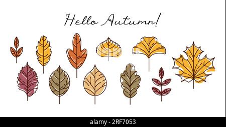 Farbenfrohe, moderne Herbstlaub-Ikonen. Ahornholz und Eiche, Ginkgo biloba, Codiaeum, Flieder, Linde und Eiche, elm und Pappel. Skizzenstil. Bei Aufklebern Stock Vektor