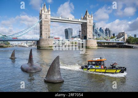 London, Großbritannien. 1. August 2023. Ein Schnellboot fährt an drei riesigen Megalodon-Haifischflossen vorbei, die sich scheinbar an der Oberfläche der Themse in der Nähe der Tower Bridge erheben, um die Freigabe der Warner Bros. In Großbritannien am 4. August zu bewerben Filmfilm „Meg 2: The Trench“ mit Jason Statham. Laut dem Naturkundemuseum war die prähistorische Art, bekannt als Otodus megalodon, der größte Hai der Welt und einer der größten Fische, die es je gab. Kredit: Stephen Chung / Alamy Live News Stockfoto