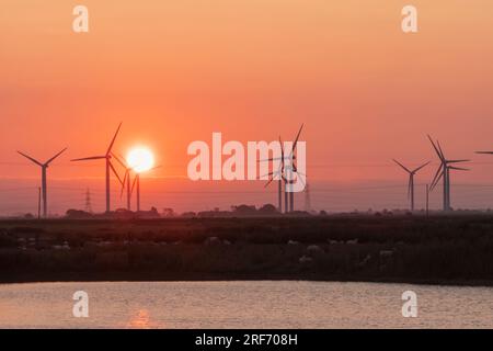 England, Kent, Romney Marsh, Sunrise und Onshore-Windturbinen Stockfoto