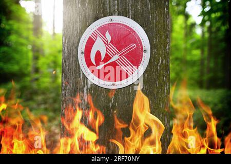 FOTOMONTAGE, Verbotsschild an einem Waldgebiet und Flammen, Symbolfoto Waldbrandgefahr Stockfoto