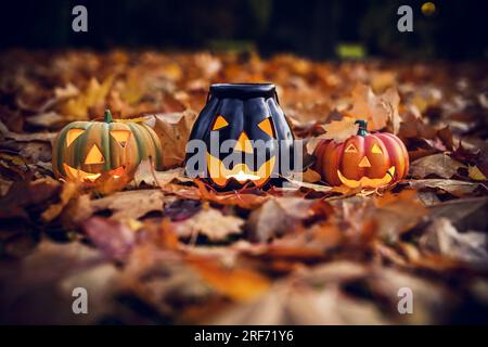 Halloween-Kürbis-Deko und Herbstlaub Stockfoto