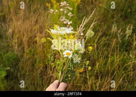 Kräuterweihe und Kräuterbuschtag des Himmelfahrt-Tages Stockfoto