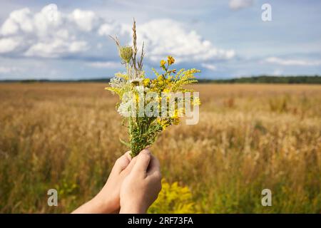 Kräuterweihe und Kräuterbuschtag des Himmelfahrt-Tages Stockfoto