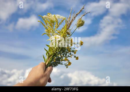 Kräuterweihe und Kräuterbuschtag des Himmelfahrt-Tages Stockfoto