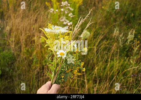 Kräuterweihe und Kräuterbuschtag des Himmelfahrt-Tages Stockfoto