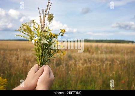 Kräuterweihe und Kräuterbuschtag des Himmelfahrt-Tages Stockfoto