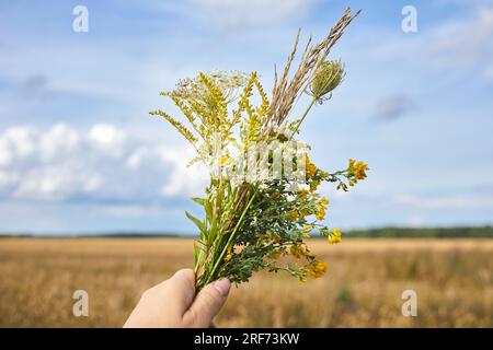 Kräuterweihe und Kräuterbuschtag des Himmelfahrt-Tages Stockfoto