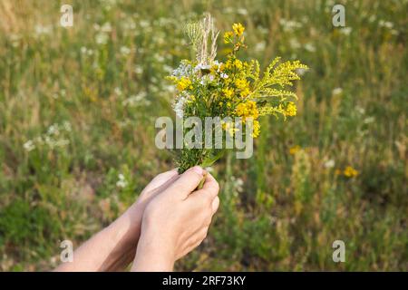 Kräuterweihe und Kräuterbuschtag des Himmelfahrt-Tages Stockfoto