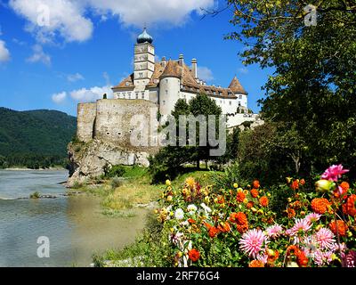 Schloss Schönbühel, Österreich, Niederösterreich, Wachau, Schönbühel - Schloss Schönbühel, Österreich, Niederösterreich, Wachau, Schönebühel, Stockfoto