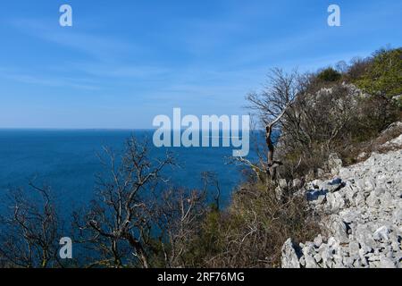 Blick auf die Adria vom Naturschutzgebiet Falesie di Duino in der Nähe von Sistiana in der italienischen Region Friaul-Julisch Venetien Stockfoto