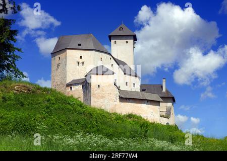 Burg Rappottenstein, Rappottenstein, Waldviertel, Niederöerreich, Oesterreich - Schloss Rappottenstein, Waldviertel, Niederösterreich, Österreich Stockfoto