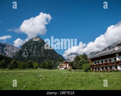 Farbenfrohe Szene mit Blick über die Wiese auf die Karwendal-Berge im Ferienort Pertisau am Achensee im österreichischen Tirol Stockfoto