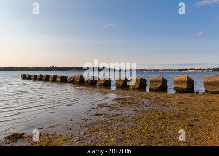 Dragons Tears, Panzerfallen aus dem Zweiten Weltkrieg, Verteidigungsblöcke, im Juli in Studland, Dorset, Großbritannien Stockfoto