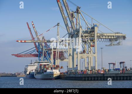 Containerterminal Tollerort, Kräne, Elbe, Hamburg Stockfoto