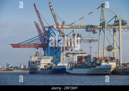 Containerterminal Tollerort, Kräne, Elbe, Hamburg Stockfoto