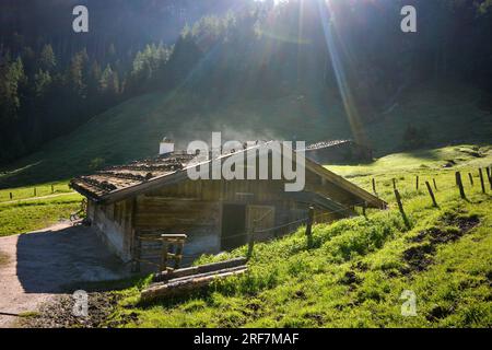alpiner Kuhstall in Bindalm früh am Morgen, Berchtesgaden-Nationalpark, Bayern, Deutschland Stockfoto