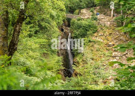 Wasserfall Aira Force im Lake District, England, Großbritannien, Europa | Aira Force Waterfall Lake District, England, Großbritannien Stockfoto
