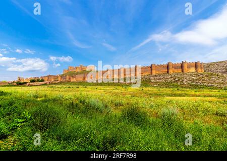 Der Palast der Marquise von Berlanga, Berlanga de Duero, Soria, in Castilla-La Mancha, Spanien. Die Burg wurde während der arabischen Eroberung der erbaut Stockfoto