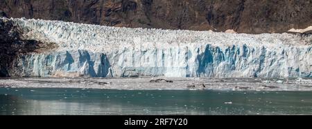 Gletscherkalben im Alaska Glacier Bay National Park, Alaska, USA, vom Kreuzfahrtschiff Stockfoto